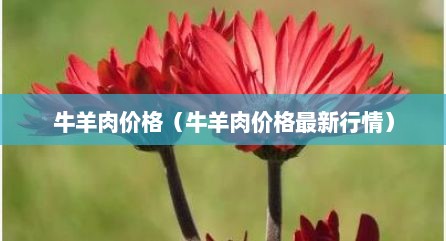 牛羊肉价格（牛羊肉价格最新行情）