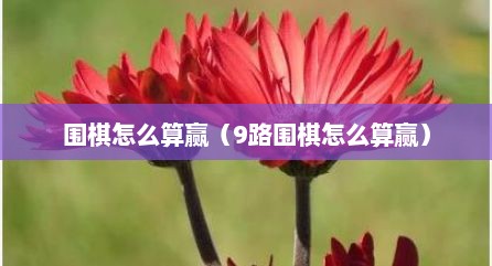 围棋怎么算赢（9路围棋怎么算赢）