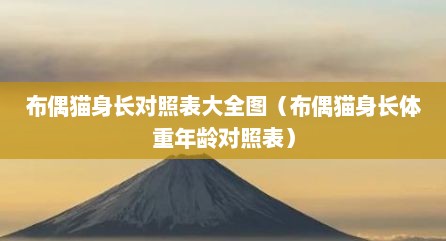 布偶猫身长对照表大全图（布偶猫身长体重年龄对照表）