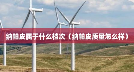 纳帕皮属于什么档次（纳帕皮质量怎么样）