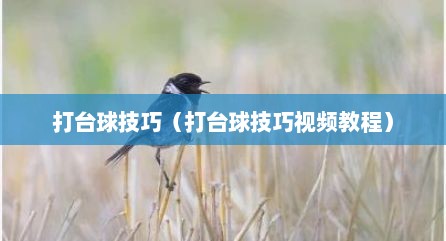 打台球技巧（打台球技巧视频教程）