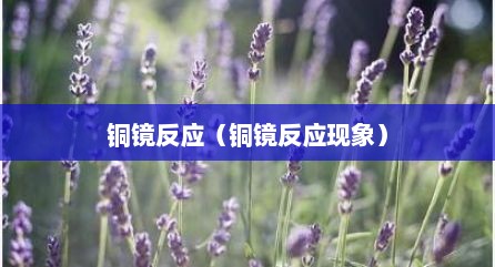 铜镜反应（铜镜反应现象）