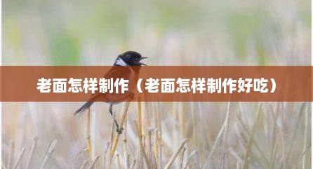 老面怎样制作（老面怎样制作好吃）
