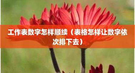 工作表数字怎样顺续（表格怎样让数字依次排下去）