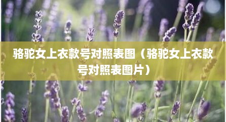 骆驼女上衣款号对照表图（骆驼女上衣款号对照表图片）