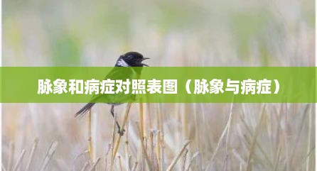 脉象和病症对照表图（脉象与病症）