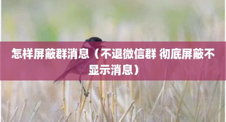怎样屏蔽群消息（不退微信群 彻底屏蔽不显示消息）