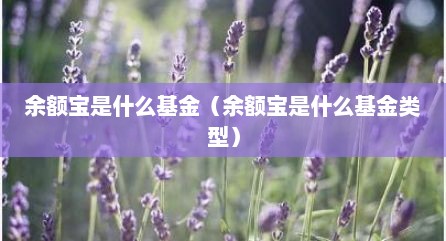 余额宝是什么基金（余额宝是什么基金类型）