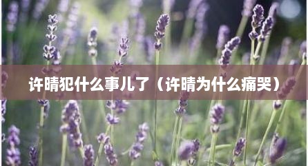 许晴犯什么事儿了（许晴为什么痛哭）