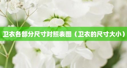 卫衣各部分尺寸对照表图（卫衣的尺寸大小）