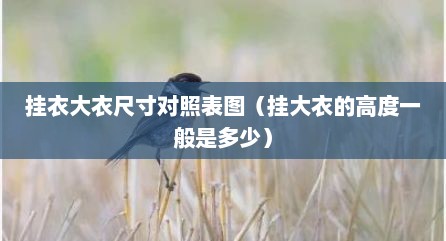 挂衣大衣尺寸对照表图（挂大衣的高度一般是多少）