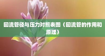 回流管径与压力对照表图（回流管的作用和原理）