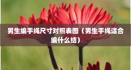 男生编手绳尺寸对照表图（男生手绳适合编什么结）