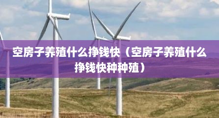 空房子养殖什么挣钱快（空房子养殖什么挣钱快种种殖）