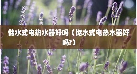 储水式电热水器好吗（储水式电热水器好吗?）