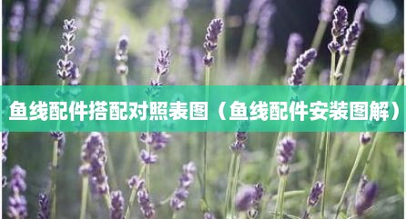 鱼线配件搭配对照表图（鱼线配件安装图解）