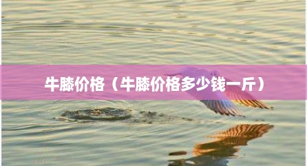 牛膝价格（牛膝价格多少钱一斤）