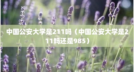 中国公安大学是211吗（中国公安大学是211吗还是985）