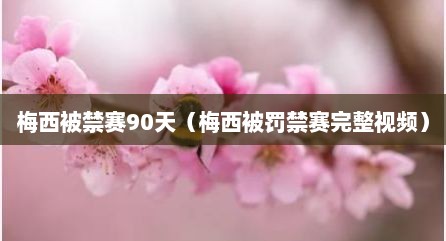 梅西被禁赛90天（梅西被罚禁赛完整视频）