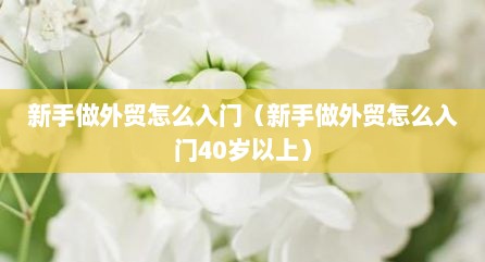 新手做外贸怎么入门（新手做外贸怎么入门40岁以上）