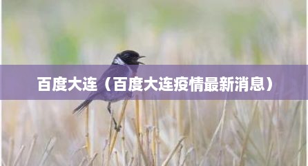 百度大连（百度大连疫情最新消息）