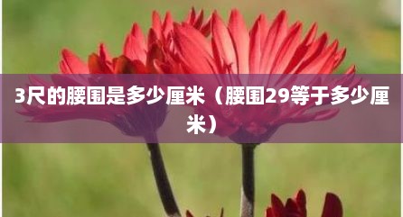 3尺的腰围是多少厘米（腰围29等于多少厘米）