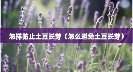 怎样防止土豆长芽（怎么避免土豆长芽）