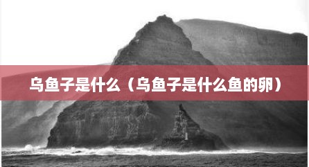 乌鱼子是什么（乌鱼子是什么鱼的卵）