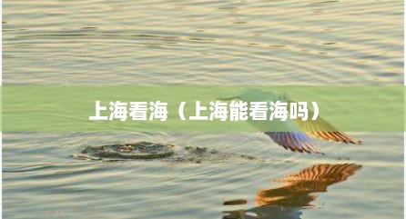 上海看海（上海能看海吗）
