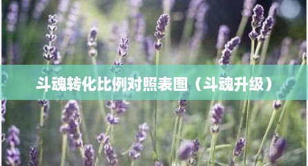 斗魂转化比例对照表图（斗魂升级）