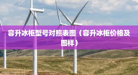 容升冰柜型号对照表图（容升冰柜价格及图样）