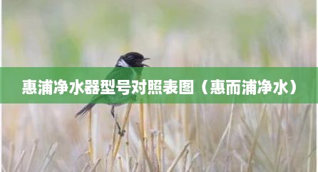 惠浦净水器型号对照表图（惠而浦净水）