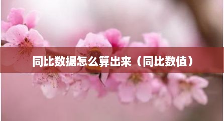 同比数据怎么算出来（同比数值）