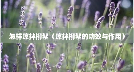 怎样凉拌柳絮（凉拌柳絮的功效与作用）
