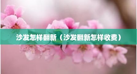 沙发怎样翻新（沙发翻新怎样收费）