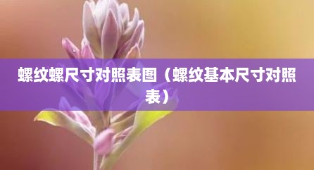 螺纹螺尺寸对照表图（螺纹基本尺寸对照表）