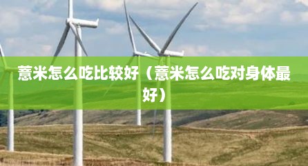薏米怎么吃比较好（薏米怎么吃对身体最好）