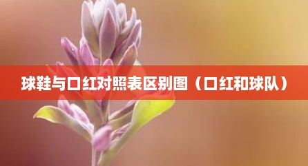 球鞋与口红对照表区别图（口红和球队）