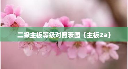 二级主板等级对照表图（主板2a）