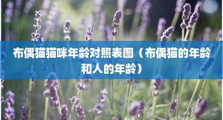 布偶猫猫咪年龄对照表图（布偶猫的年龄和人的年龄）