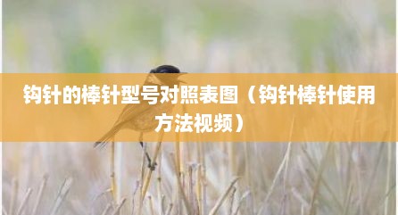 钩针的棒针型号对照表图（钩针棒针使用方法视频）