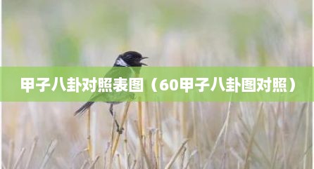甲子八卦对照表图（60甲子八卦图对照）