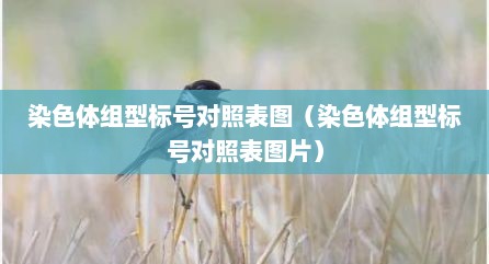 染色体组型标号对照表图（染色体组型标号对照表图片）