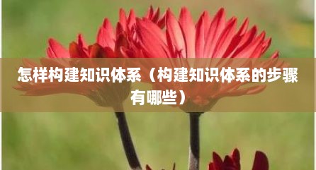 怎样构建知识体系（构建知识体系的步骤有哪些）