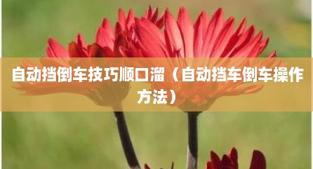 自动挡倒车技巧顺口溜（自动挡车倒车操作方法）
