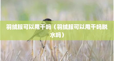 羽绒服可以甩干吗（羽绒服可以甩干吗脱水吗）