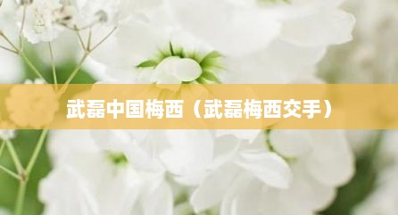 武磊中国梅西（武磊梅西交手）