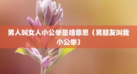 男人叫女人小公举是啥意思（男朋友叫我小公举）
