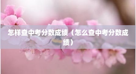 怎样查中考分数成绩（怎么查中考分数成绩）