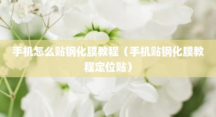 手机怎么贴钢化膜教程（手机贴钢化膜教程定位贴）